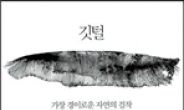 <새책>‘시각예술의 의미’외 출판다이제스트