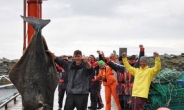 233kg 괴물 가자미, 길이 2.7m '신기록'…깜짝