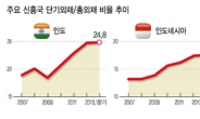 붕괴 임박 vs 단기 현상…‘도돌이표’ 亞외환위기설 두가지 시선