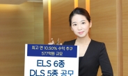 KDB대우證, ELS 6종 DLS 5종 공모