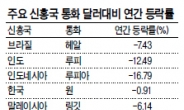 신흥국 통화 폭락…환헤지상품 불티