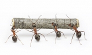 주가 2000 딜레마에 빠진 개미의 선택은?