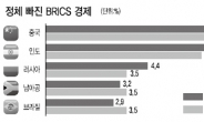 성장률 내리막길…신흥국 단물 다 빠졌다?