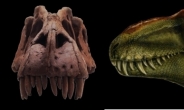 신종 육식 공룡, 티라노사우루스보다 1000년 먼저…‘깜짝’