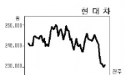 현대차, 악재 겹치긴 했는데…