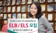 하나대투證, ELB 2종ㆍELS 3종 모집