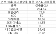 <재테크>연말 ‘윈도 드레싱’ 효과에 베팅해볼까