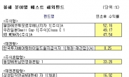 올해 해외펀드, 선진국ㆍ주식형 ‘약진’…브라질ㆍ채권형은 ‘울상’