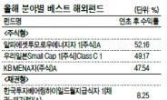 <굿바이 2013 - 해외시장 결산> 날개 단 선진국 주식형 펀드…체면 구긴 브라질·인도펀드