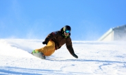 웰리힐리 스키장‘2014 스키&스노우보드 WINTER FESTA’ 개최
