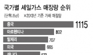 에너지 공룡기업 中 총집결