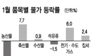 소비자물가 두달째 1%초반대