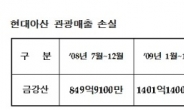 현대아산, ‘금강산 관광 재개 TF’ 해체…조용한 창립 15주년