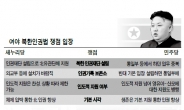 與 “유엔도 인권문제 제기” 野 “지원이 우선”…너무 먼 간극