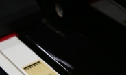 영창뮤직, 명품 이탈리아 직수입 건반 적용한 디지털 피아노 시리즈 발매