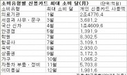 1월 병원, 5월 안경점, 8월 동물병원, 12월 이미용실 신용카드 ‘대박’…월별 소비트렌드