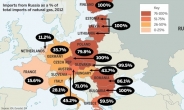 러産 가스 못끊겠네…딜레마에 빠진 유럽