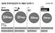 [데이터랩] 세계 4대 회계법인 매출 ‘대박’…앞날은 불안하다?