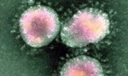 바이러스의 역습…항생제 내성 강화로 인류에 심각한 위협