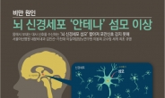 뇌 신경세포 ‘안테나’ 섬모 이상이 비만 원인