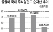 펀드환매 VS 외인매수