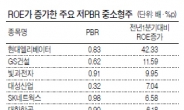 저평가된 중소형 미인株를 잡아라