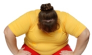 비만의 역설 “뚱뚱한 사람이 더 건강하다”…왜?
