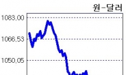 원ㆍ달러 환율 장중 1020원선 붕괴…5년 9개월만