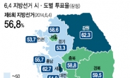 투표장 비켜나간 ‘세월호 민심’…56.8% 투표율 ‘지방권력 혼전’