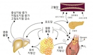 <생생건강 365> 적정 체중 유지해야 대사증후군 예방된다