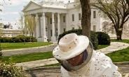 오바마의 ‘꿀벌’ 구하기