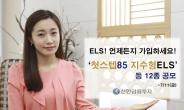 신한금융투자, ‘첫스텝85 지수형ELS’ 등 12종 공모