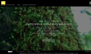 “야쿠시마 숲으로 초대합니다” 니콘 마이크로 사이트 오픈