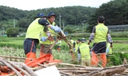 부산농협 임직원들, 집중호우 피해 농가 찾아 봉사활동