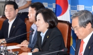 박영선 “아이 포기하는 솔로몬재판 엄마 심정”