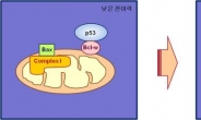 암 전이 경로 첫 발견…新치료제 개발 ‘눈앞’