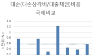 “당국 눈치보느라” 과도한 대손 때문에 수익 못내는 은행들