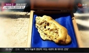 2.8kg 자연산 금덩어리, 3억원 가치를 야산서?…‘로또 당첨됐네’