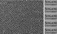 서강대, 3차원 나노입자 이용한 나노다공성 필름 제작기술 개발