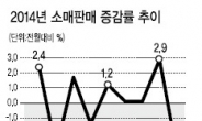 소매판매‘뚝’…소비 회복세 꺾이나