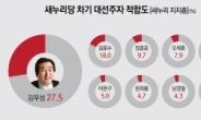 차기 대선주자 적합도 새누리 김무성ㆍ새정연 박원순