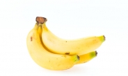 아침 바나나 먹으면 두뇌활동 활발해진다