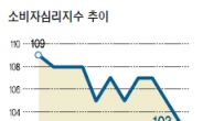 재정확대 · 금리인하에도…소비심리 날개없는 추락