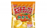 허니버터칩에 맞설 ‘오렌지맛 감자칩’ 일본서 출시