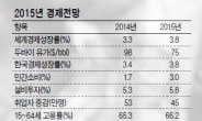 [대예측 2015 한국경제] 더 깊어지는 新3低<저성장-저물가-엔저>현상…강력한 구조개혁으로 돌파를