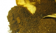 [생활의 발견] 복덩이된 골칫덩이…커피 찌꺼기의 무한 변신