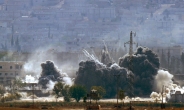 ‘테러와의 전쟁’에선 연전연패… IS와의 전쟁, 이기고 있나