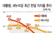 여당 지지율, 대통령 따라 추락…새누리당 35%대‘박근혜 쇼크’