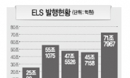 안정수익 선호…ELS 열기 아직도 뜨겁다