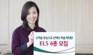 하나대투證, ELS 6종 모집